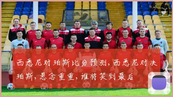 西悉尼对珀斯比分预测,西悉尼对决珀斯,悬念重重,谁将笑到最后