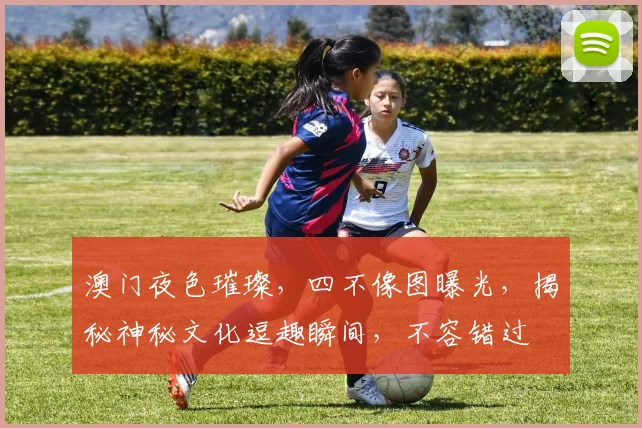 澳门夜色璀璨，四不像图曝光，揭秘神秘文化逗趣瞬间，不容错过